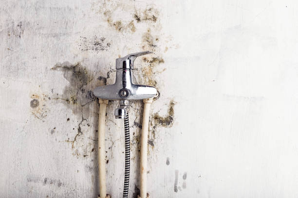 Best Mold Remediation for Specific Building Types in Smithville, MO
