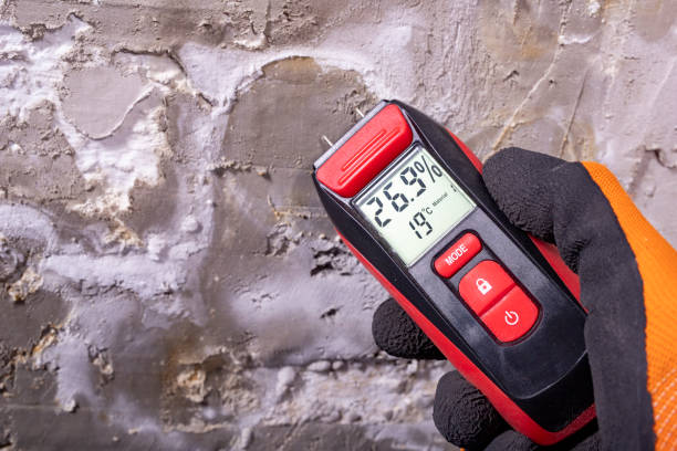 Best Residential Mold Remediation in Smithville, MO