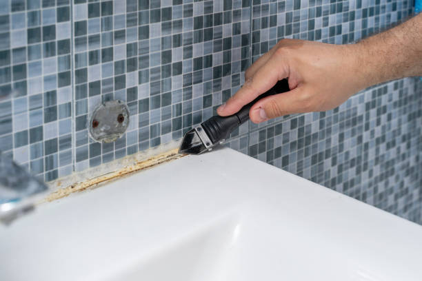 Best Basement Mold Remediation in Smithville, MO