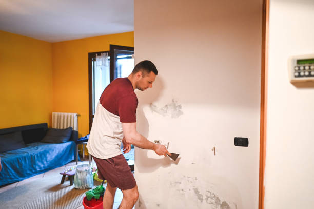 Best Black Mold Remediation in Smithville, MO